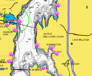 Angling Report - 02/20/2021 - Lake Washington