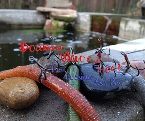 CHT Double Wacky Hook – Double Your Chances With this Wacky Rig